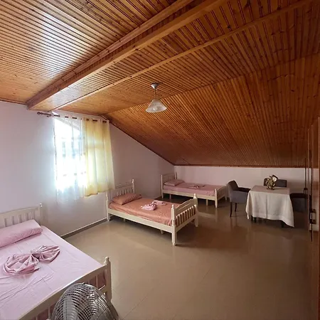 Hostel My - Privates And Dorms *