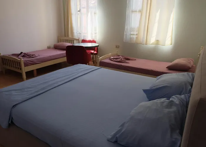 Hostel My - Privates And Dorms