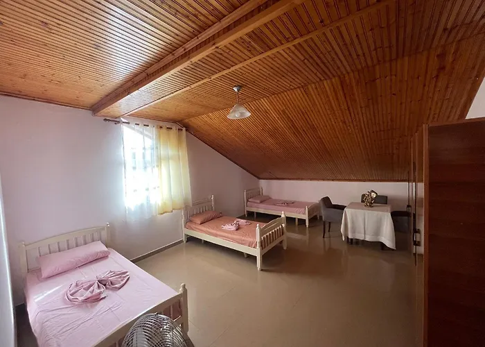 Hostel My - Privates And Dorms *